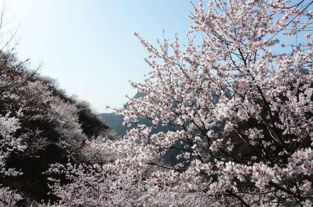 地质地貌遗迹——桃花谷