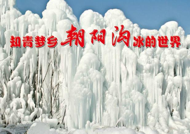 朝阳沟冰的世界