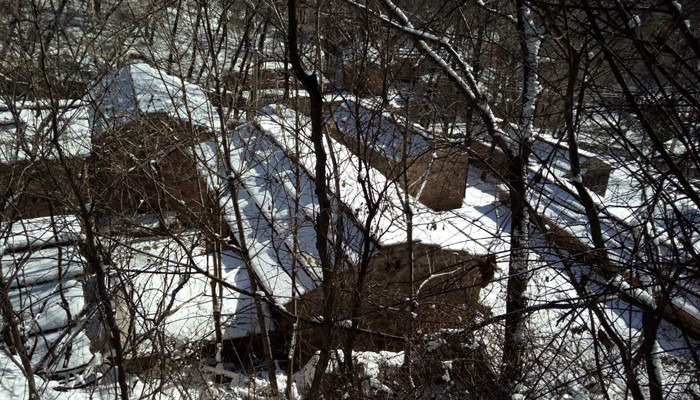 朝阳沟冰的世界