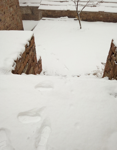 朝阳沟冰的世界