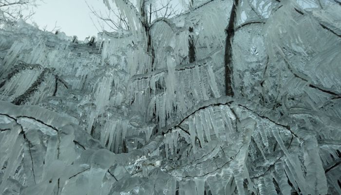 朝阳沟冰的世界