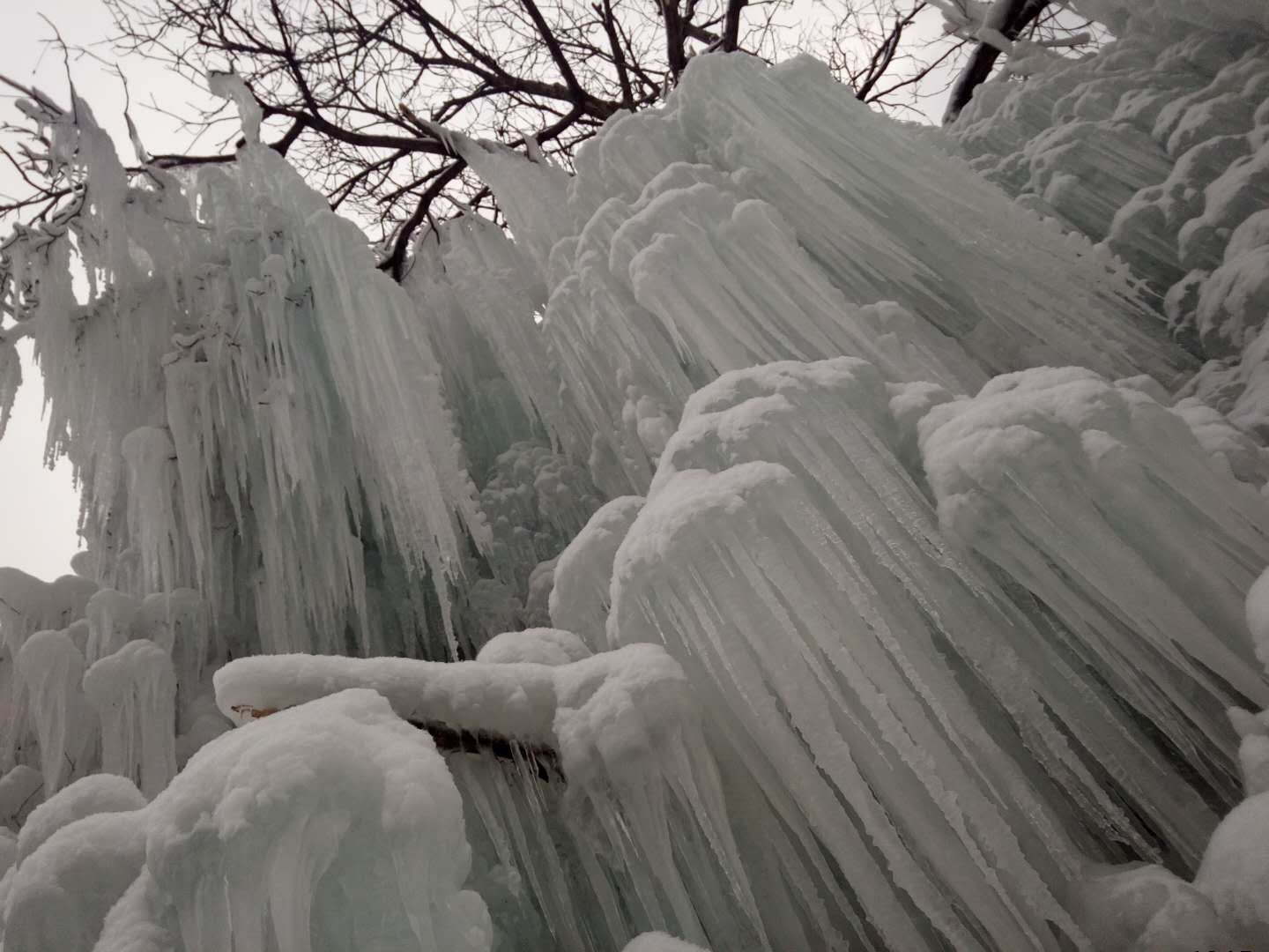 朝阳沟《冰的世界》上央视了