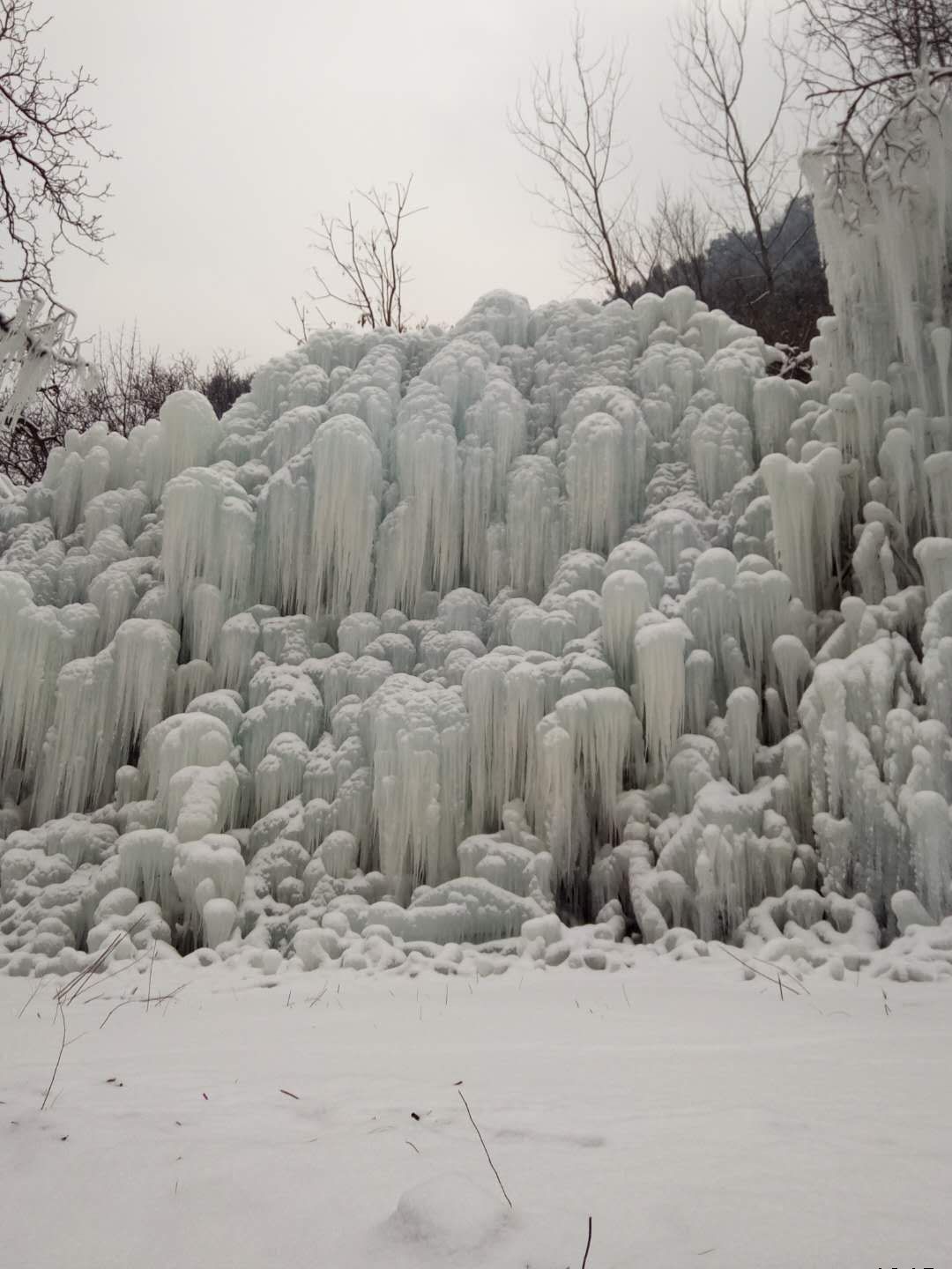 朝阳沟《冰的世界》上央视了