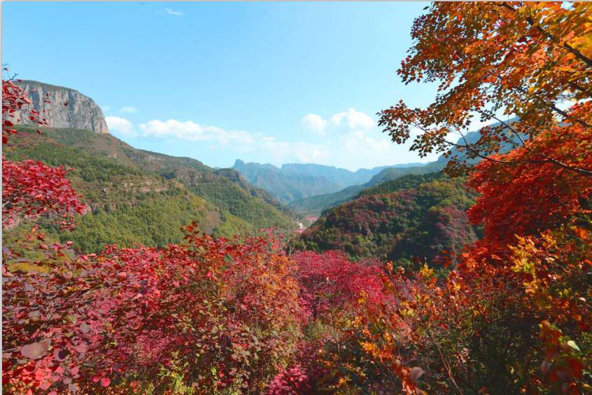 朝阳沟四季景点特色