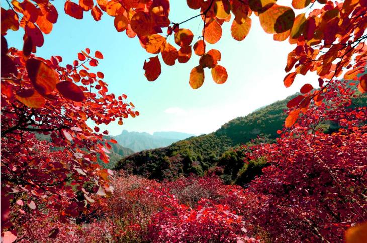 朝阳沟四季景点特色