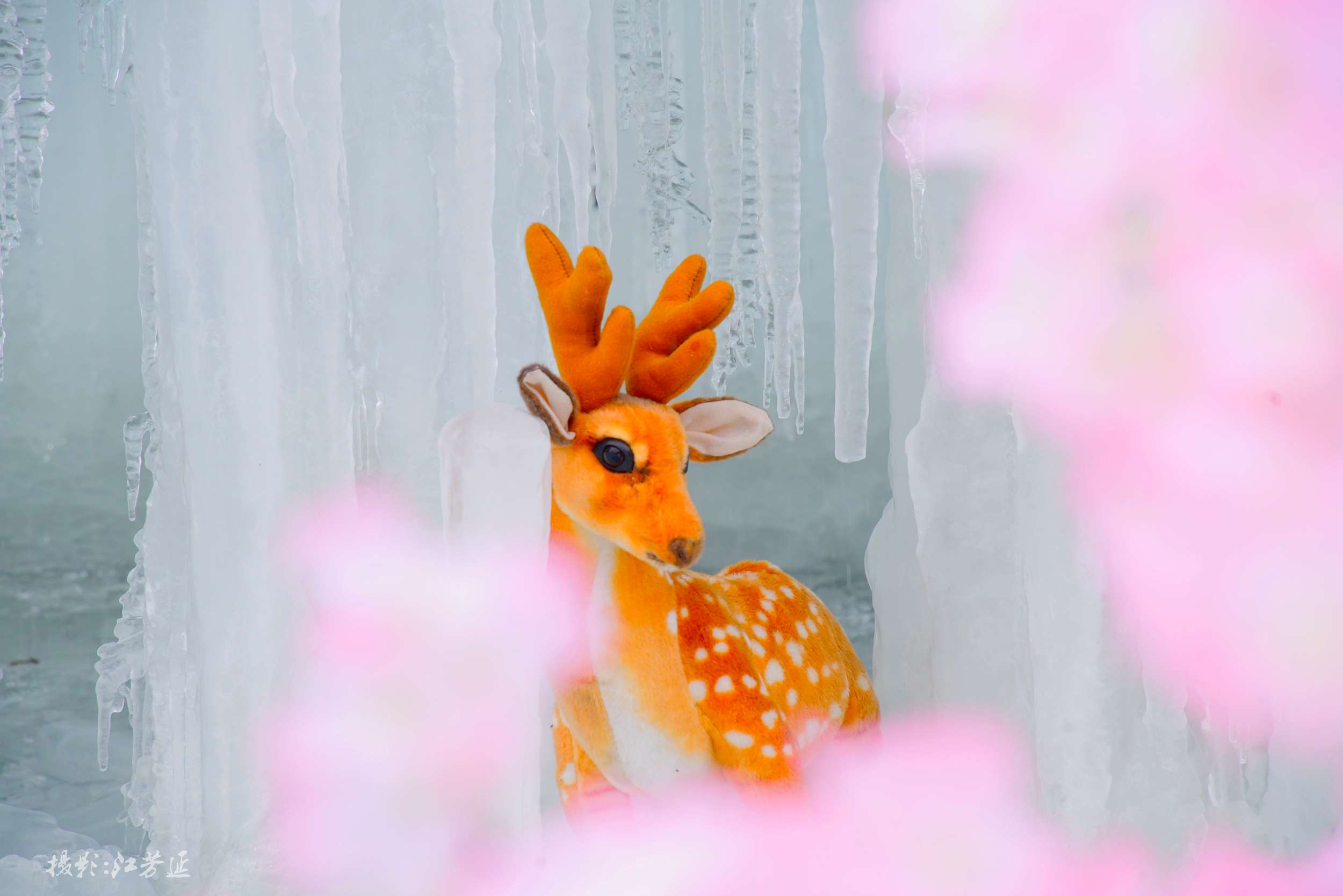 朝阳沟景区尊享半价看冰挂