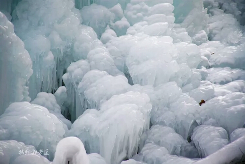 朝阳沟景区尊享半价看冰挂