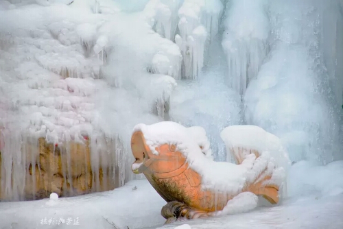 朝阳沟景区尊享半价看冰挂