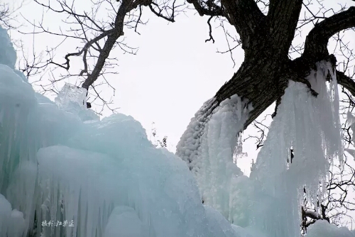 朝阳沟景区尊享半价看冰挂