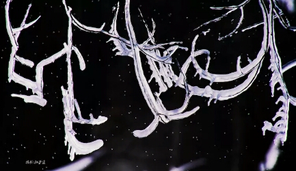 朝阳沟景区尊享半价看冰挂