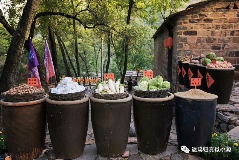 今年秋天的朝阳沟不同往年